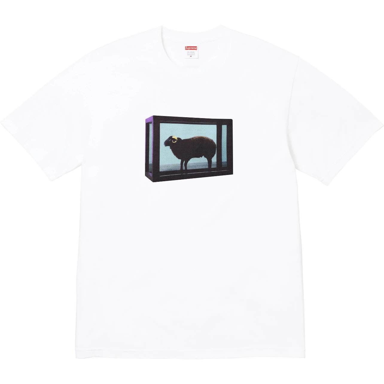 Supreme multicolor T-shirt collection - Image 9
