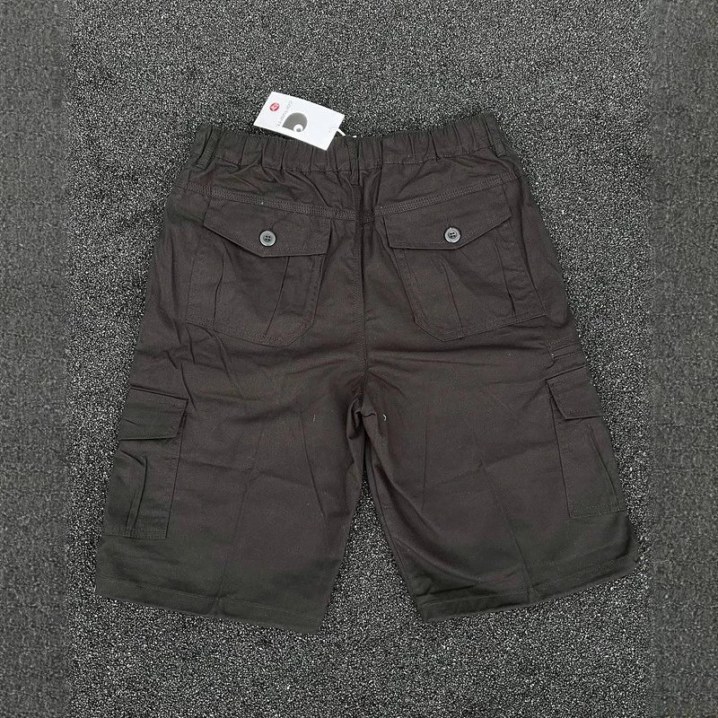 Carhartt multicolor shorts collection - Image 2