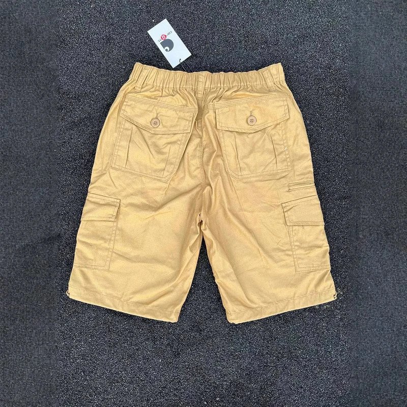 Carhartt multicolor shorts collection - Image 3