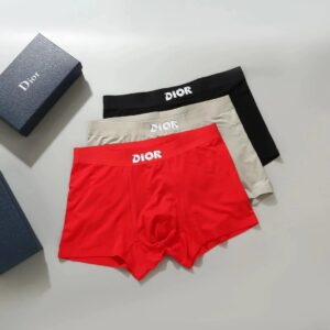Dior underwear