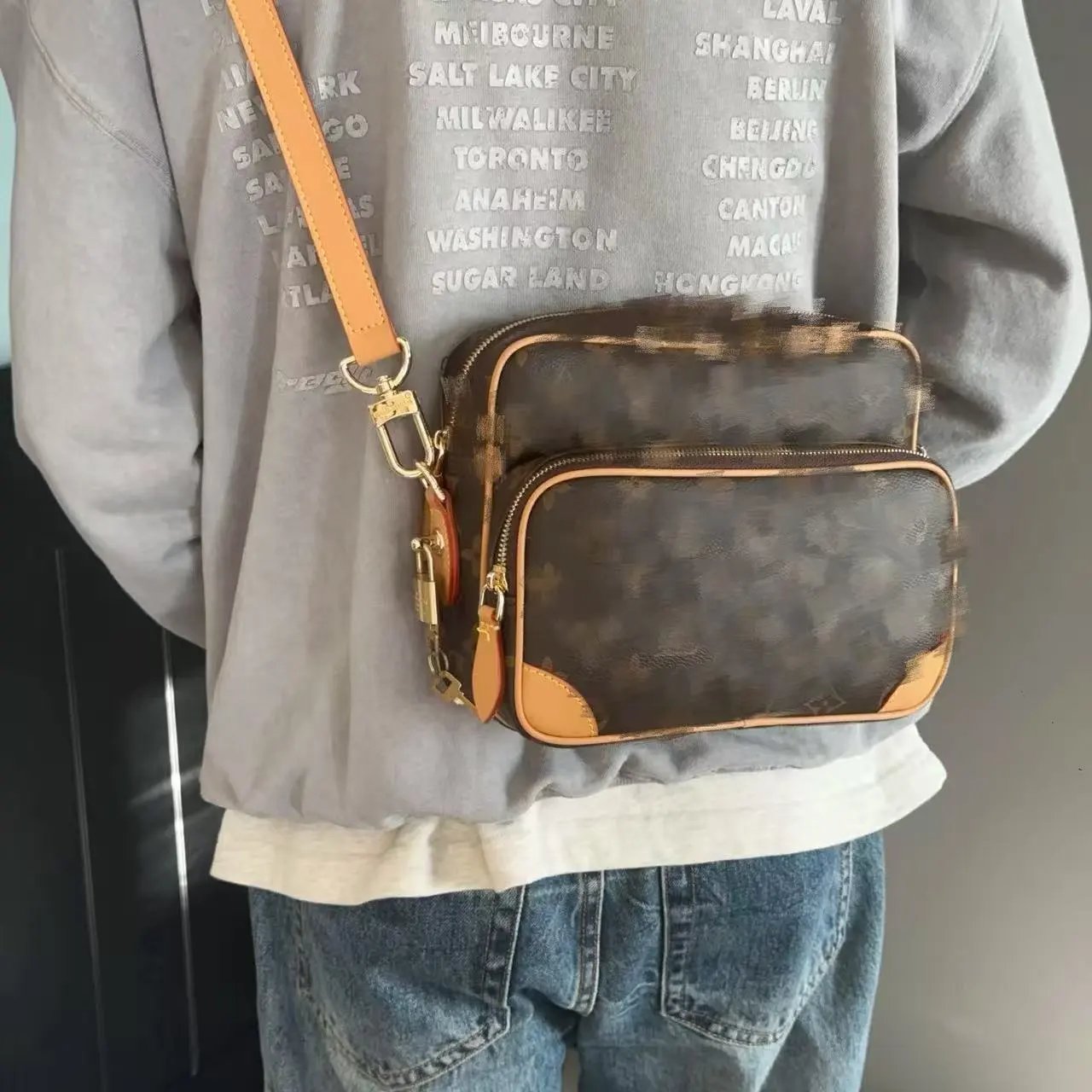 Louis Vuitton bag gray